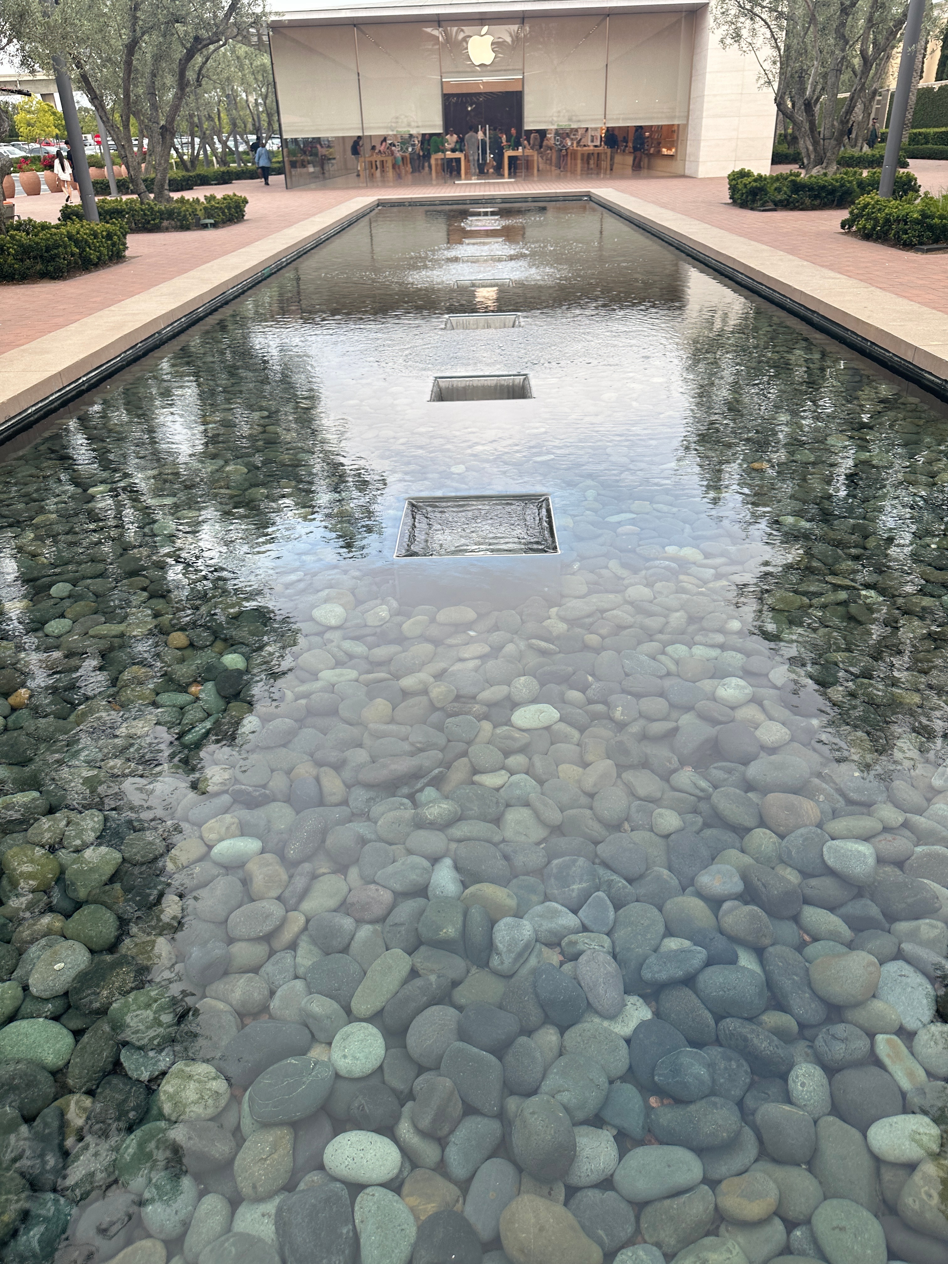The reflecting pool and olive trees leading to the Apple store at Irvine Spectrum Center